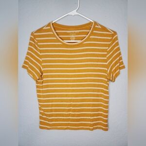 American Eagle Crop Top Size M
